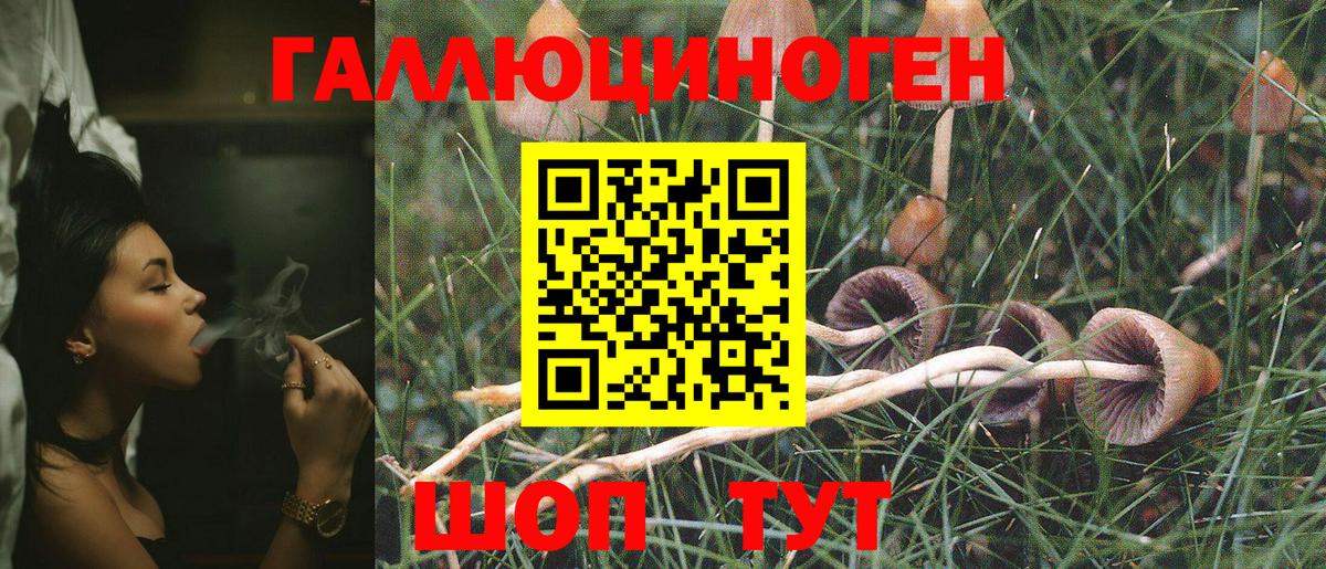 Нижнеудинск  Псилоцибиновые грибы Psilocybe  Вход с VPN  Галлюциногенные грибы Magic Shrooms 