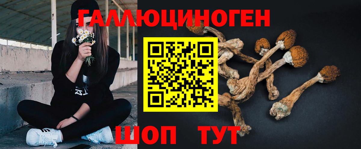 Псилоцибиновые грибы Cubensis Нижнеудинск
